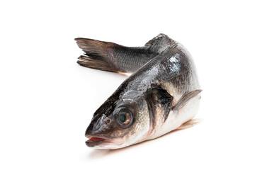 Fototapeta premium Raw whole seabass fish isolated on white