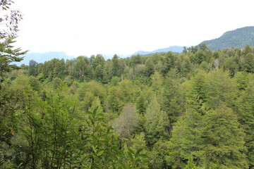 Patagonia Chilena  - Futeleufú
