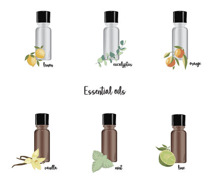 set of essential oil plant icons and blank flacons, bottles. Mockup for cosmetics, spa, aromatherapy, homeopathy, Ayurveda. mint, vanilla, orange, lemon, eucalyptus,  Hand drawn, vector illustration