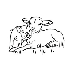 Fototapeta premium Vector doodle drawing of a little sheep and piglet on a farm. Hand drawn cute animals on the lawn.