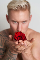 Flower in a hands of a male lover / Red rose in palms of a handsome young man in seductive...