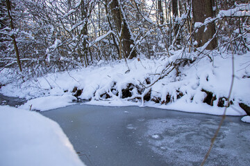 Frozen river in the forest in Germany in the Ore Mountains