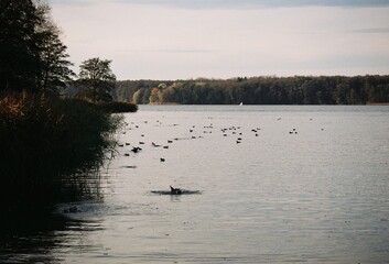 See mit B&auml;umen und V&ouml;geln