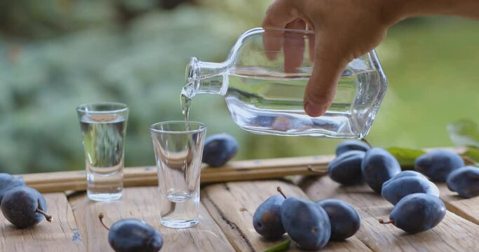 Pouring plum slivovice (slivovitz) vodka into glasses. Ripe plums lie around. The video filming location is a rural outdoor table with summer blur bokeh nature.