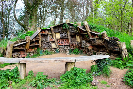 Heligan Garden