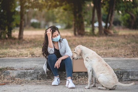 A picture of a business woman stressed out on her dog. And was laid off from work Affected by the COVID-19 epidemic, the concept of unemployed women has negative feelings.