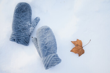 the lost mitten lying on the snow