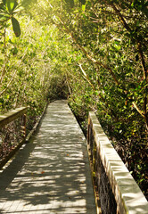 Darling National Wildlife Refuge hiking path on Sanibel Island