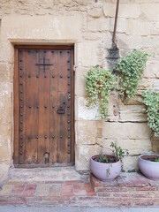 An old brown wooden door on a stone wall. Pots with plants. 