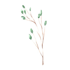 Watercolor illustration of a twig with leaves on a white background