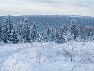 Snowy road at  winter Stone Hill park in frosty sunny evening. Winter country road with fir forest in the rays of cold winter Sun.