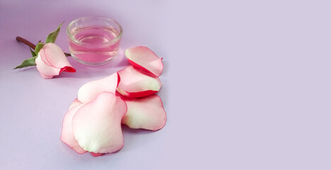pink flower and rose essential oil on lilac background with copy space. Natural skin care