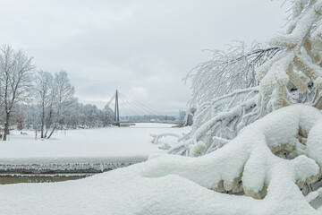 Frozen tree branches against the background of a winter landscape Bridge over the river, Snowy. Helsinki, Finland Vanhakaupunki