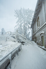 The branches of a tree covered with ice and the old building is covered with snow. Helsinki, Finland Vanhakaupunki