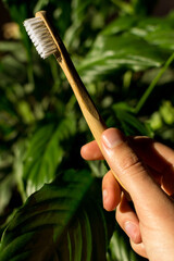 Close up of hand holding an ecological toothbrush made of bamboo, with green leaves in the background.