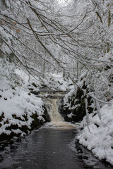The Hoëgne in winter; a river in eastern Belgium coming from the High Fens 