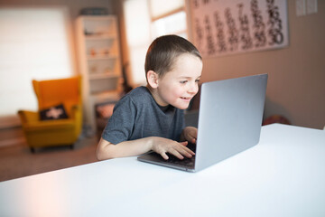 boy using the computer