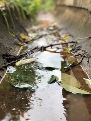 Mud water