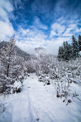 Fototapeta na wymiar Snow Covered Hiking Path In The Mountains