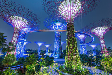 Gardens By The Bay Singapore Supertrees