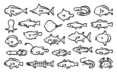 Saltwater fish vector set (Hand-drawn line version)