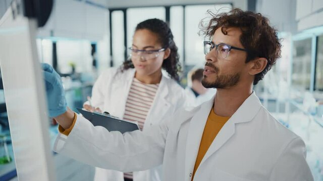 Medical Science Laboratory: Handsome Latin Male Scientist Writes Detailed Project Data Analysis on the Board, His Black Female Colleague Talks