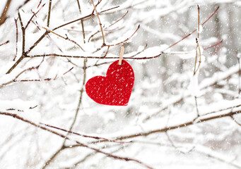Red heart hanging on snowy branch for Valentine's day Love message. Snowing. Close-up. Copy space.