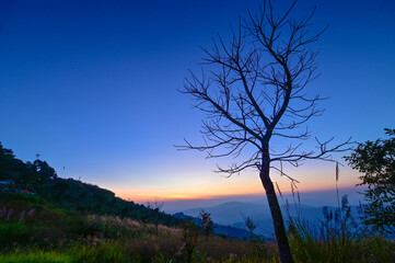 Fototapeta na wymiar Sunset Pha Chang Moo, Mae Sai District, Chiang Rai Province, 57130, Thailand, Asia