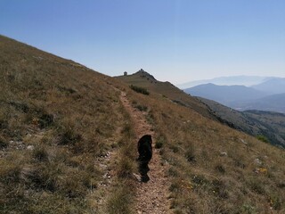 Fototapeta na wymiar Paesaggio con cane nero