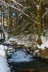 Ruisseau de montagne en hiver