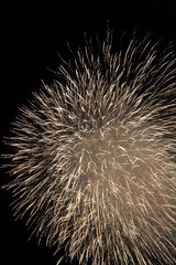 Fuegos artificiales en una noche oscura