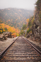 Empty rail road tracks leading through mountains during autumn