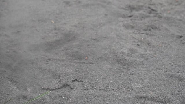 Close Up of Male Foot in Flip Flops Slippers Walking in Dusty Grey Ground, Slow