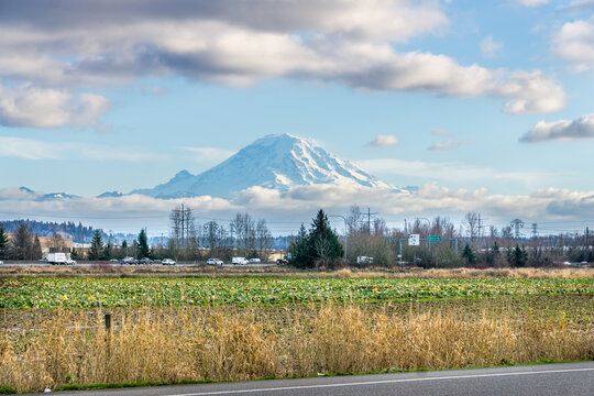 Field And Peak 2