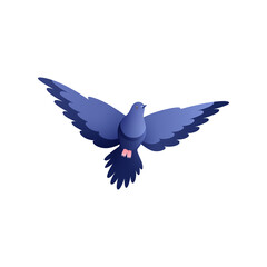 Flying Pigeon Illustration