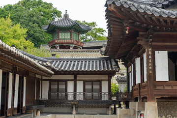 garden of Changdeokgung Palace in Seoul