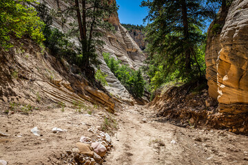 Lick Wash Trail Hike