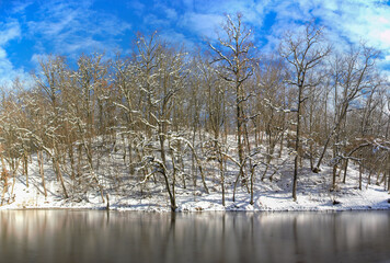 Landscape with forest at the edge of a frozen lake