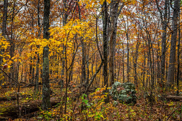 Autumn View of Shenandoah National Park