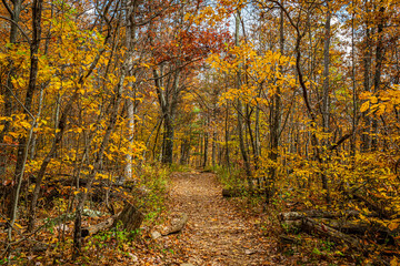 Autumn View of Shenandoah National Park