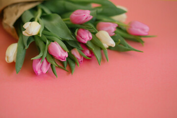 Tulips on a pink background for a Womens Day, Mother Day, 8 march or Valentines day. The concept of holidays and good morning wishes.