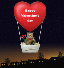 A cat with a bottle of wine and a bouquet of tulips is flying in a red heart shaped hot air balloon at night.