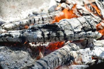 detail of the fire flames of a roast