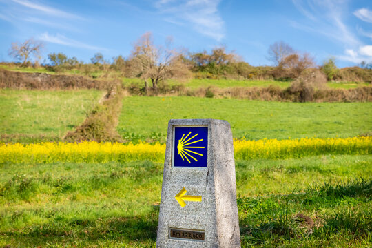 Pilgrimage Way Marking Stone Post with Scallop Shell Symbol and Yellow Arrow Sign in the Spring Field outside Sarria, Galicia on the Pilgrim Trail of the Way of St James Camino de Santiago 