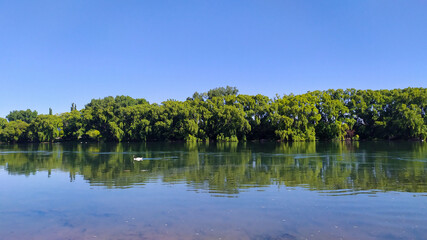 "Swan sailed on the calm river"