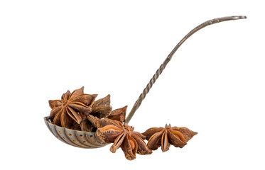 Fruit with seeds Illicium anisatum isolated on white background