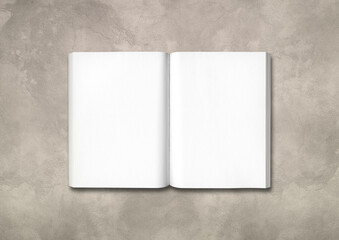 Open book isolated on concrete