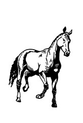 Fototapeta na wymiar Vector hand-drawn horse running isolated on white background,graphical illustration