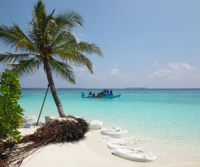 Maldives island of coco palm