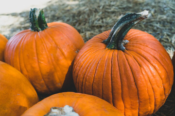 Pumpkins on the ground